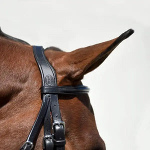 Signature Series Padded Crown Dressage Bridle with Flash