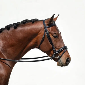 Signature Series Padded Crown Dressage Bridle with Flash