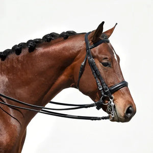 Signature Series Weymouth Padded Dressage Bridle with Crank Noseband