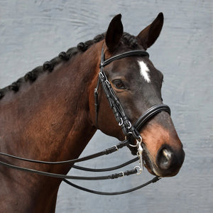 Signature Series Weymouth Padded Dressage Bridle