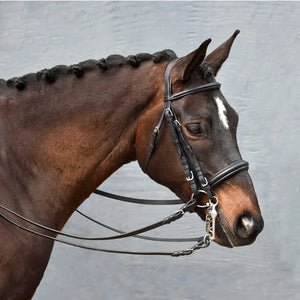 Signature Series Weymouth Padded Dressage Bridle