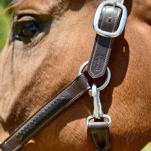 Silver Spur Hand Braided Leather Halter