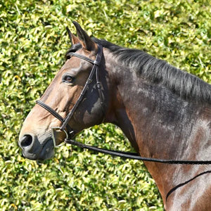 Silver Spur Hand Braided Snaffle Bridle