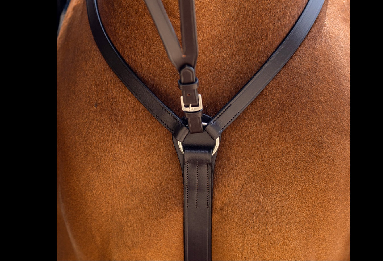 MARTINGALE/BREASTPLATES