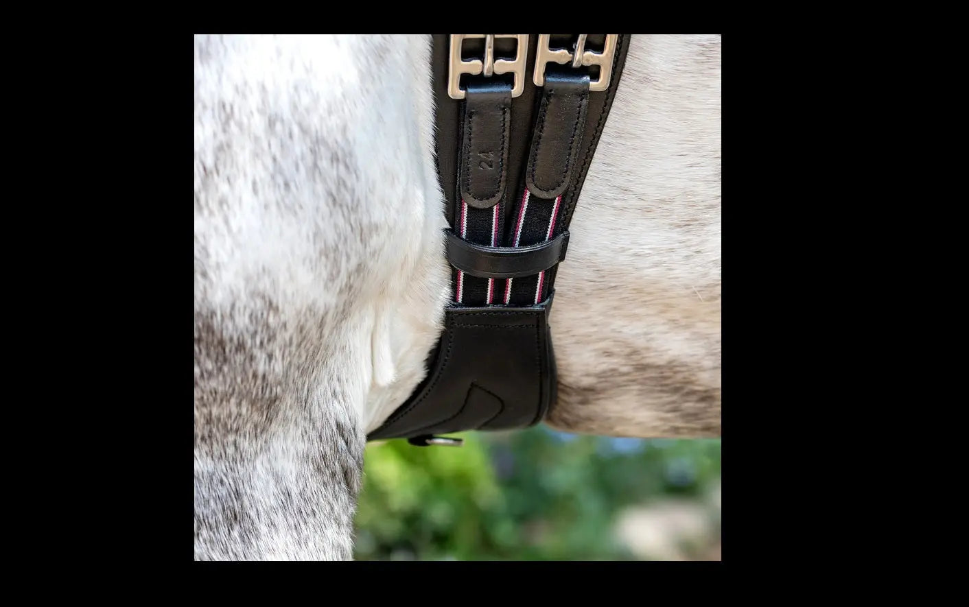 GIRTHS Bobby's English Tack