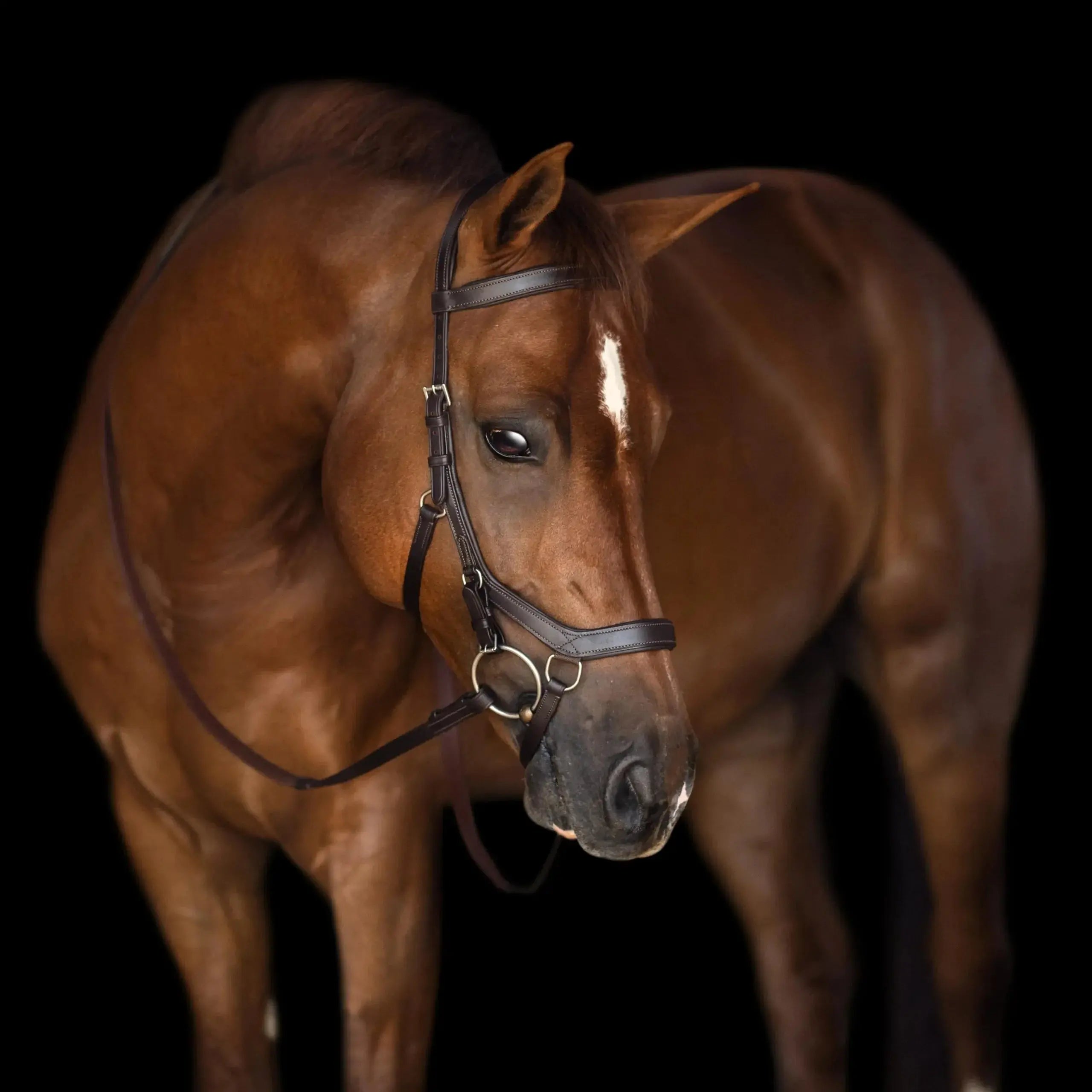 ANATOMICAL-BRIDLE Bobby's English Tack