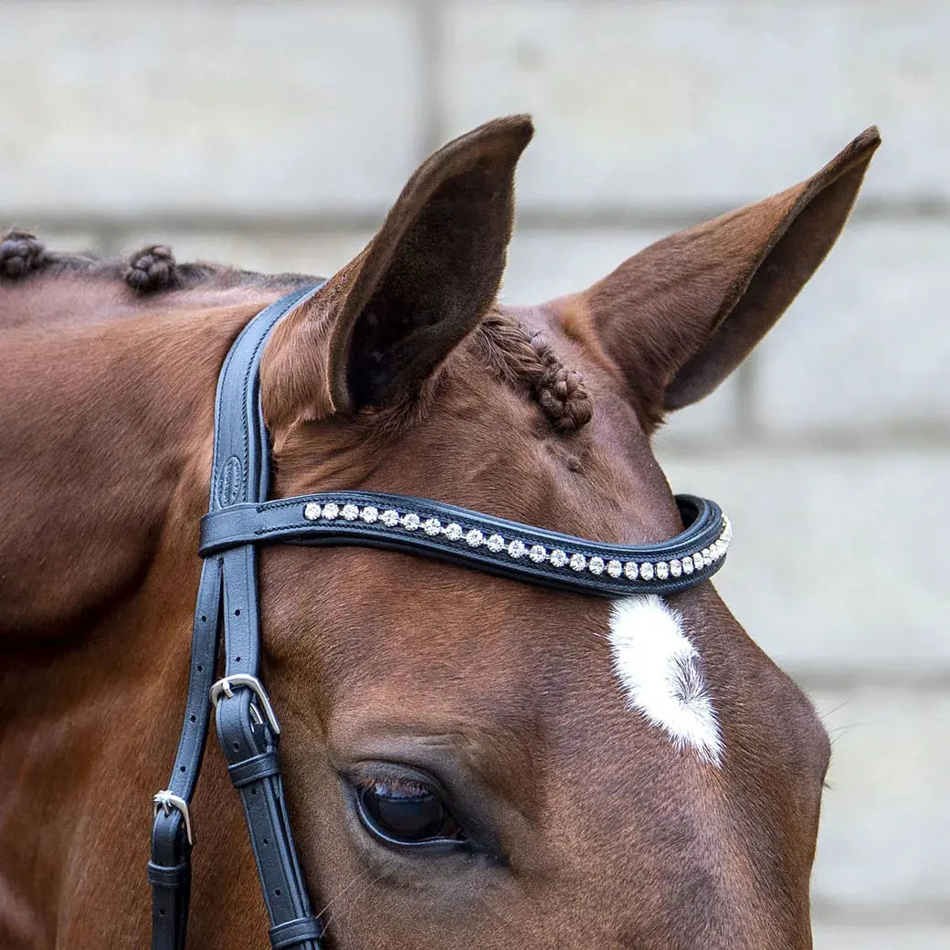 DRESSAGE Bobby's English Tack