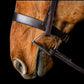 Silver Spur Heavy Duty Hunt Bridle
