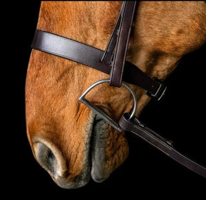 Silver Spur Heavy Duty Hunt Bridle My Store