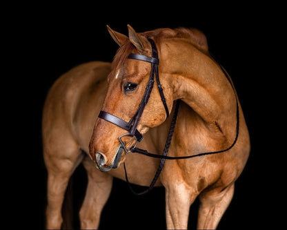 Silver Spur Heavy Duty Hunt Bridle