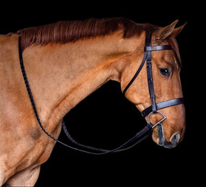 Silver Spur Heavy Duty Hunt Bridle