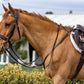 Silver Spur Heavy Duty Hunt Bridle