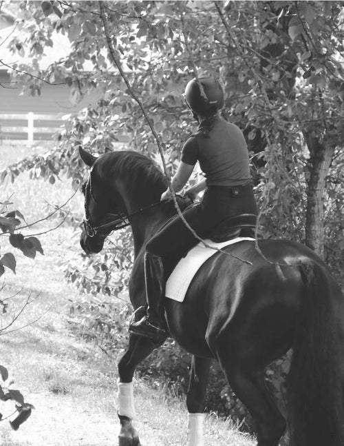 Bobby's English Tack 