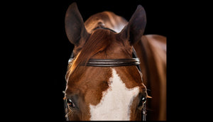 Fairhaven Collection: Fancy Stitched Padded Snaffle Bridle