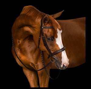 Fairhaven Collection: Fancy Stitched Padded Snaffle Bridle