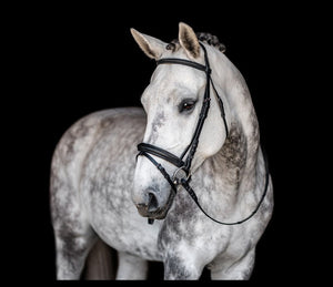 Fairhaven Collection: Comfort Crown Padded Snaffle Bridle