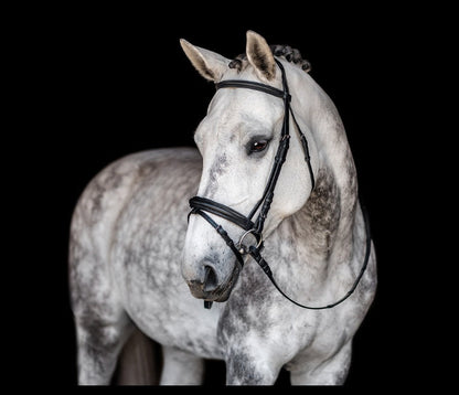 Fairhaven Collection: Comfort Crown Padded Snaffle Bridle