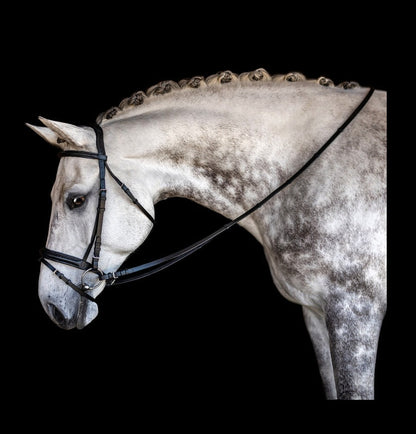 Fairhaven Collection: Comfort Crown Padded Snaffle Bridle
