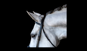 Fairhaven Collection: Comfort Crown Padded Snaffle Bridle