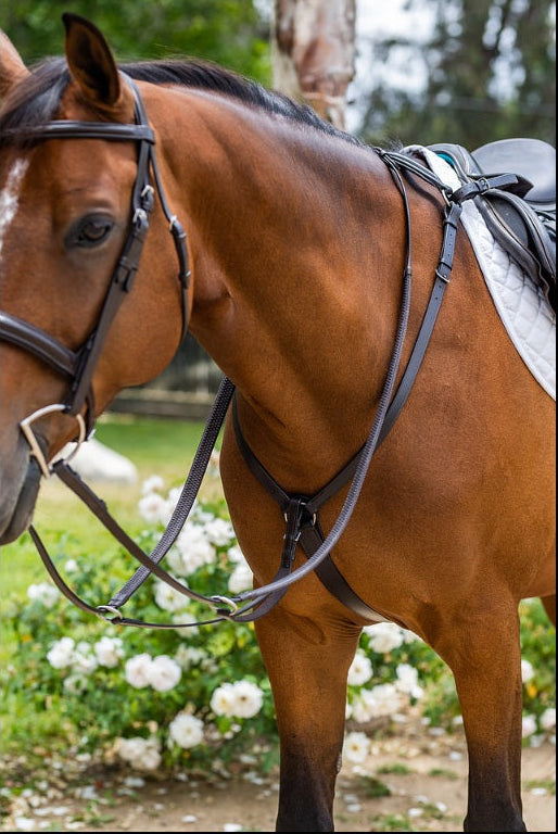 Fairhaven Padded Breastplate with Running Attachment