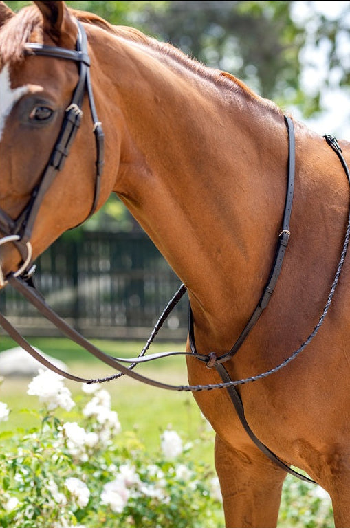 Fairhaven Plain Raised Standing Martingale