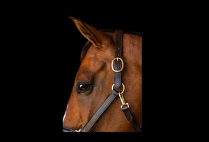 Fairhaven Fancy Stitched Leather Halter