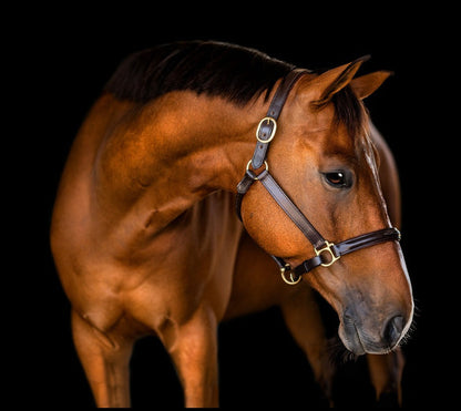 Fairhaven Fancy Stitched Leather Halter