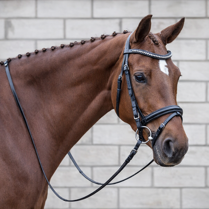 Signature Series Padded Monocrown Dressage Bridle With Curved Padded Bling Browband