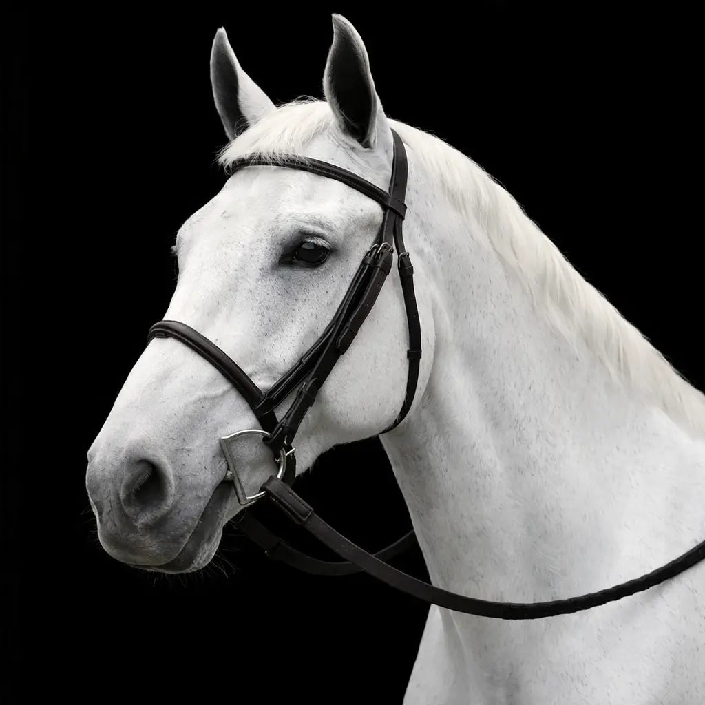 Silver Spur: Raised Snaffle Bridle