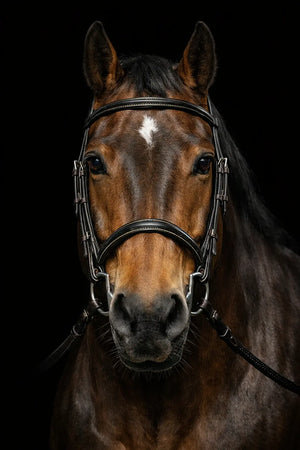Silver Spur: Hand Braided Snaffle Bridle