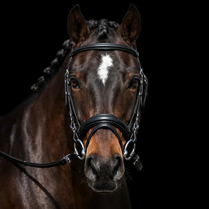 Signature Series: Monocrown Padded Dressage Bridle with Crank