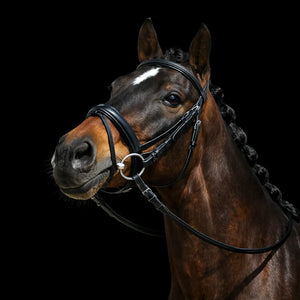 Signature Series: Monocrown Padded Dressage Bridle with Crank