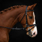 Fairhaven: Plain Raised Bridle with Flash