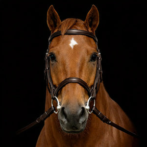 Fairhaven: Plain Raised Snaffle Bridle