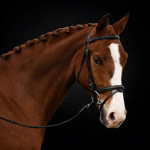 Fairhaven: Plain Raised Bridle with Flash