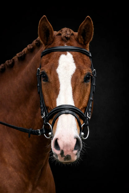 Fairhaven: Plain Raised Bridle with Flash