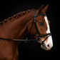 Fairhaven: Plain Raised Bridle with Flash