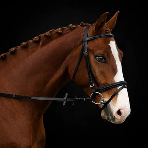Fairhaven: Plain Raised Bridle with Flash