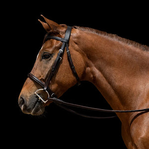 Fairhaven: Plain Raised Snaffle Bridle