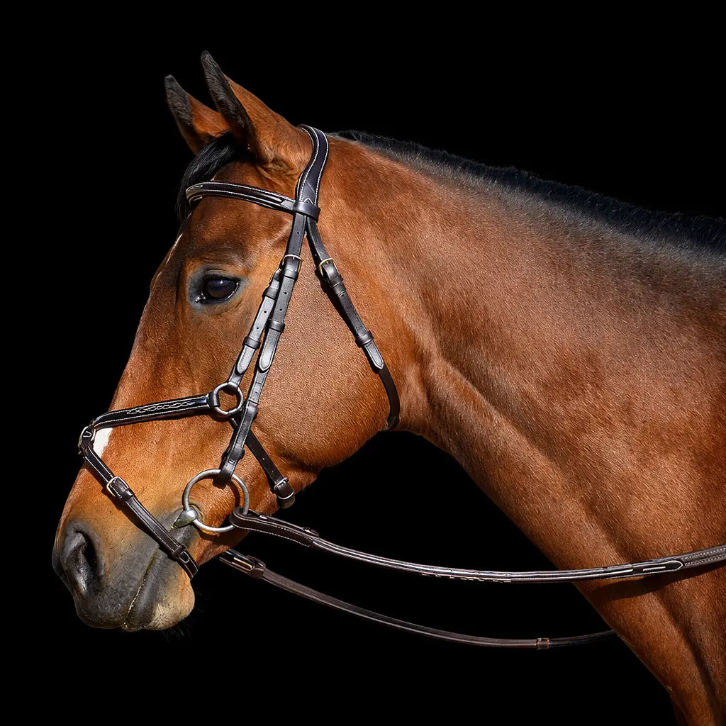 Signature Series: Fancy Stitched Figure 8 Monocrown Bridle Bobby's English Tack