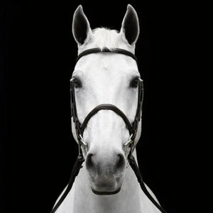 Silver Spur: Raised Snaffle Bridle
