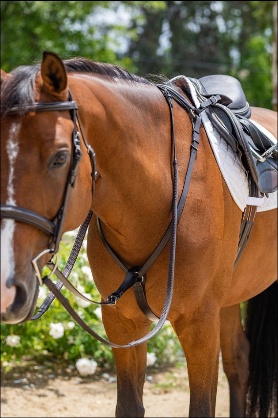 Fairhaven Padded Breastplate with Standing Attachment