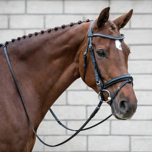 Signature Series: Square Raised Padded Monocrown Dressage Bridle with Flash