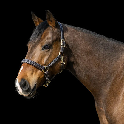 Signature Series: Fancy Stitched Padded Leather Halter