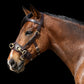Silver Spur: Leather Lunging Cavesson with Padded Noseband