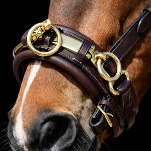 Silver Spur: Leather Lunging Cavesson with Padded Noseband
