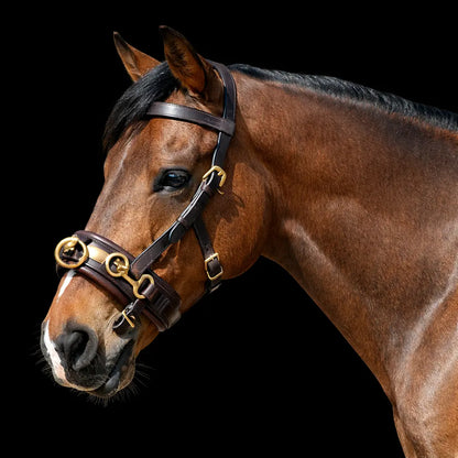 Silver Spur: Leather Lunging Cavesson with Padded Noseband