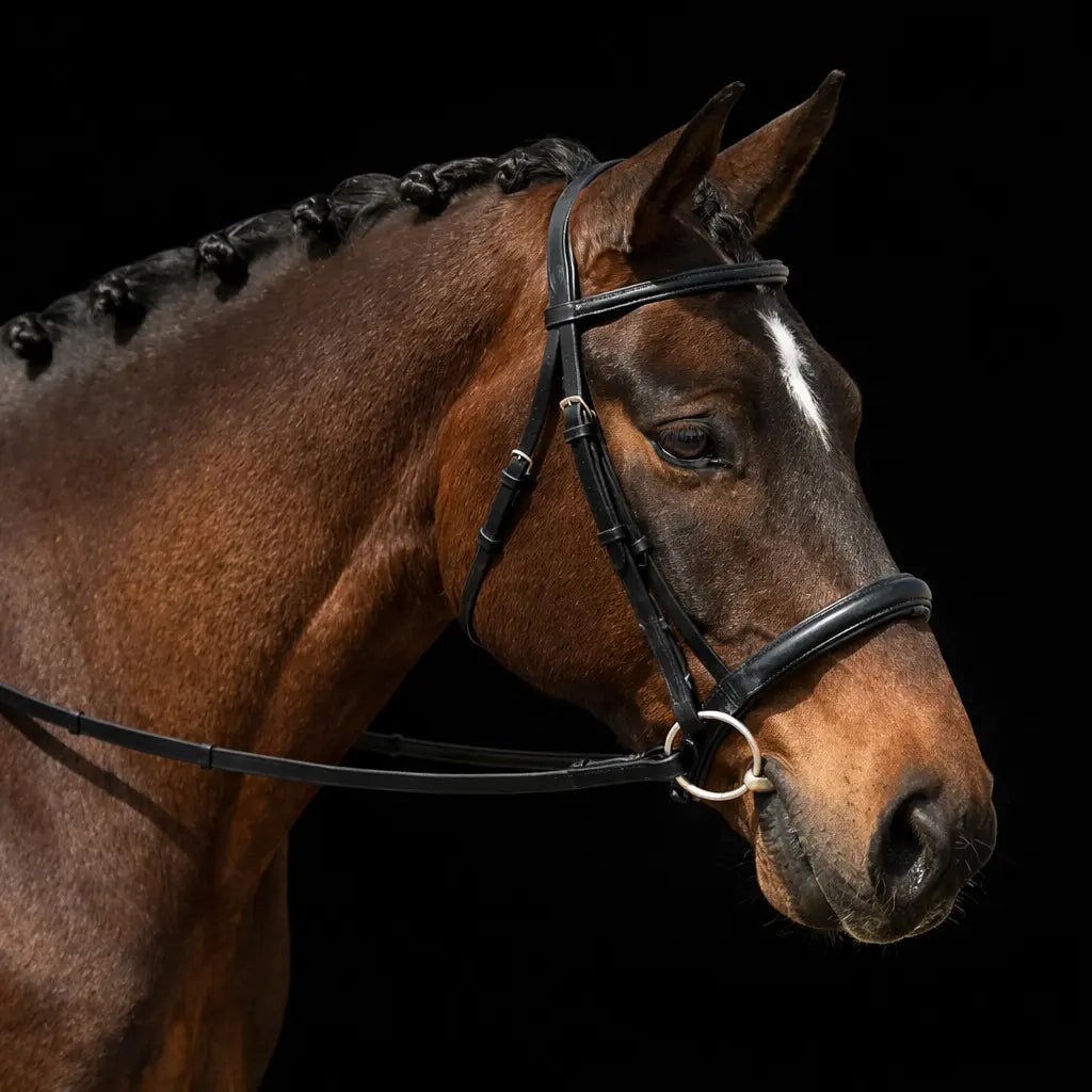 Signature Series Padded Monocrown Dressage Bridle Bobby's English Tack