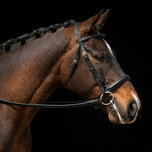 Signature Series Padded Monocrown Dressage Bridle Bobby's English Tack