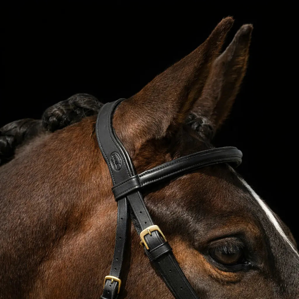 Signature Series Padded Monocrown Dressage Bridle Bobby's English Tack